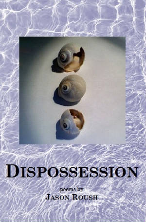 DispossessionCover.jpg